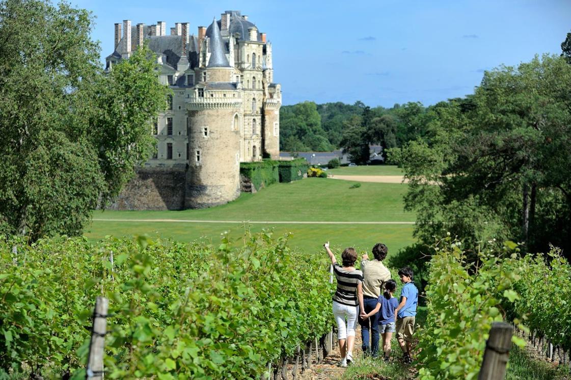 Saint-Saturnin-sur-Loire Dependance Chateau D'Arts酒店 外观 照片